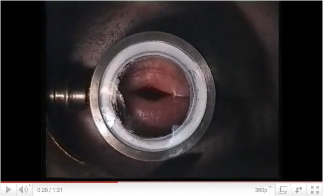 Lippenschwingung bei Blechbläsern